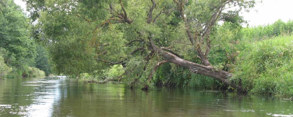 Фотография Пытани
