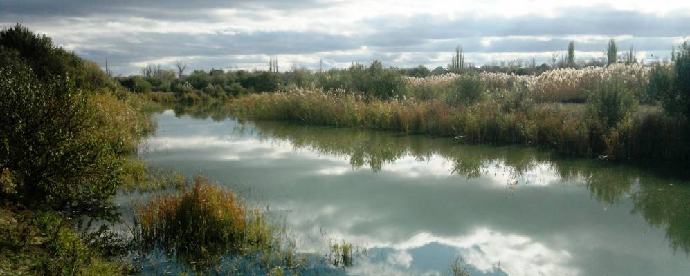 
            Фотография Приволжского