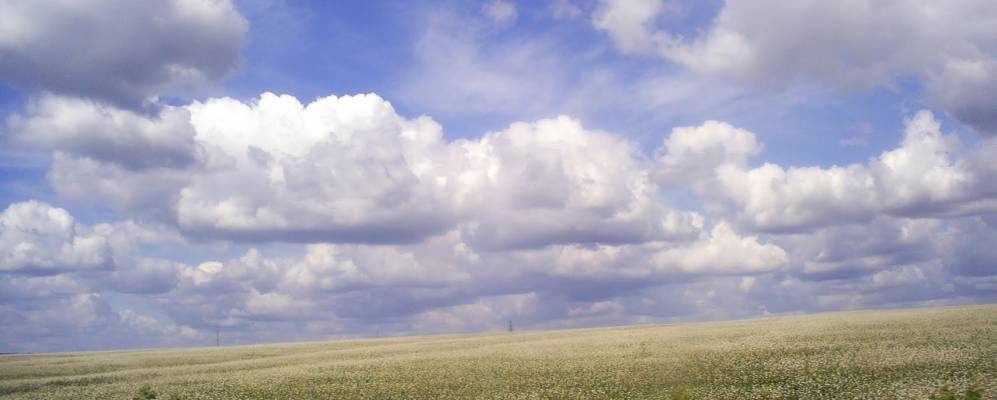 
            Фотография Гремучего