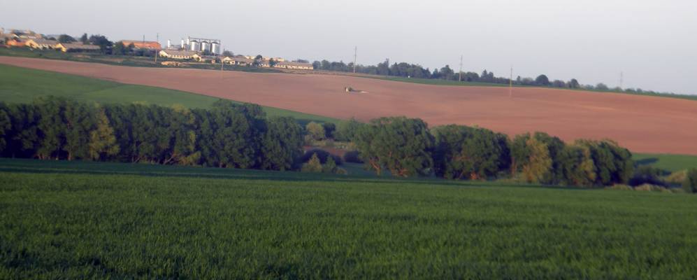 
            Фотография Греловки