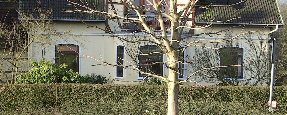 
            Фотография Зюке