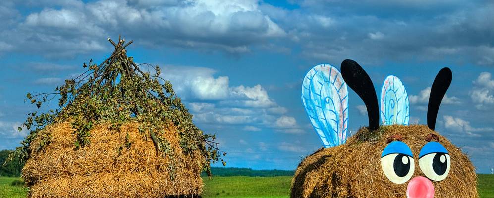 Фотография Альховика