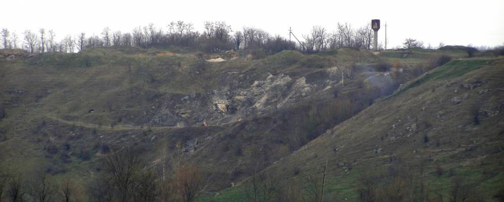 
            Фотография Садковцев