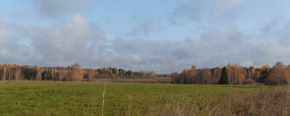 
            Фотография Воробьев