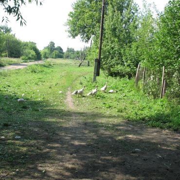 Сторожевая