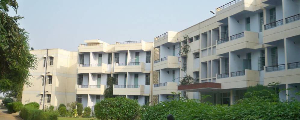 
            Фотография Пилани