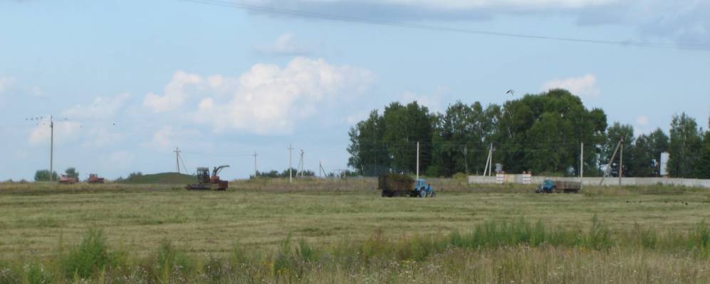 
            Фотография Орешек