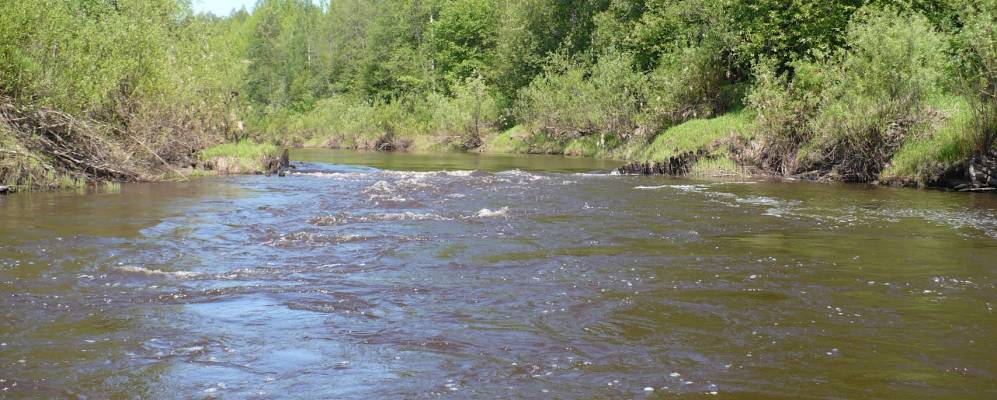 
            Фотография Зыково