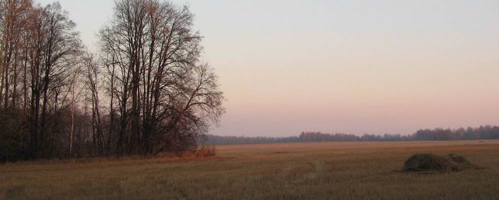 Фотография Жукова