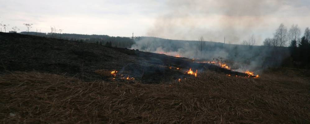 Фотография Серяка