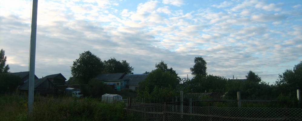 
            Фотография Сушеревки