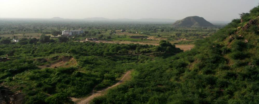 
            Фотография Патауди