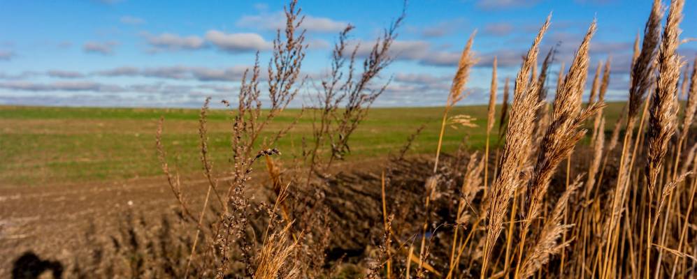 
            Фотография Ростовского