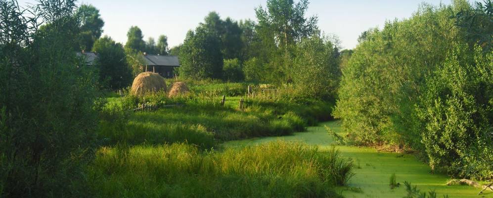 Фотография Бурцевской