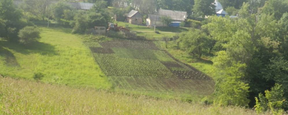 
            Фотография Носовцы