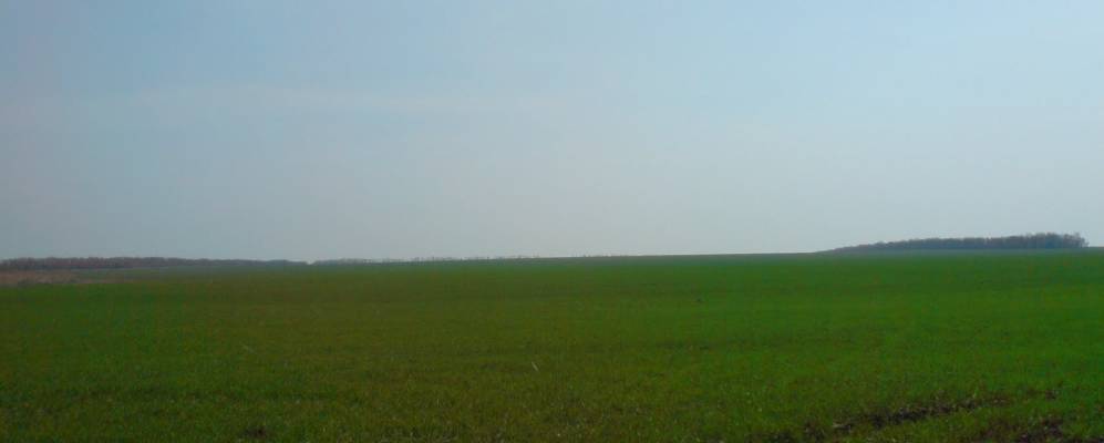 
            Фотография Орехово