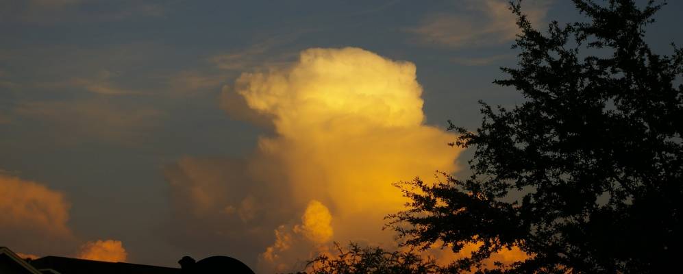 
            Фотография Кэтлина