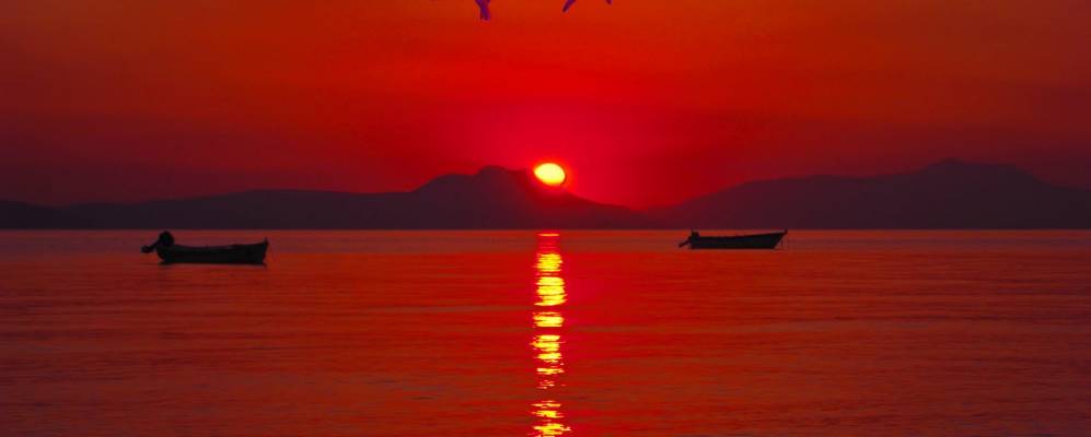 Фотография Мелиссиона