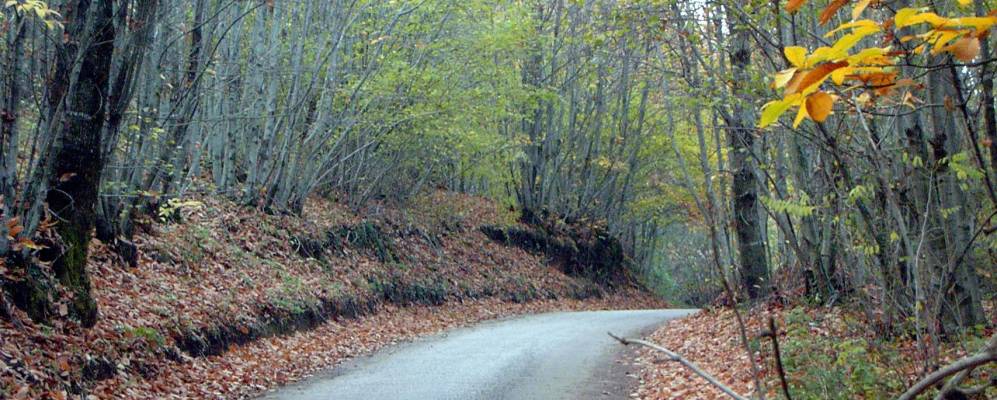 
            Фотография Рокка Приоры