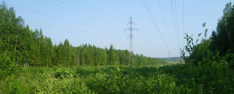 Фотография Калининцев