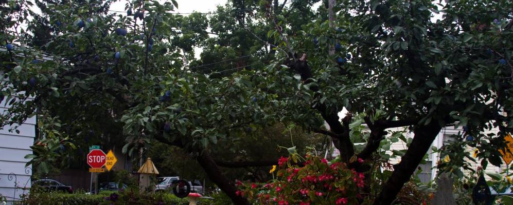 
            Фотография Гастингс-Гудзона