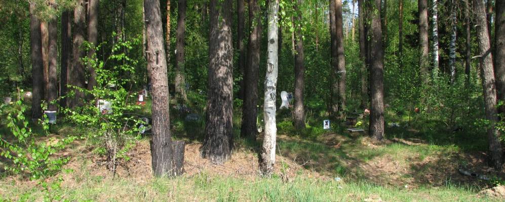 
            Фотография Антонихи