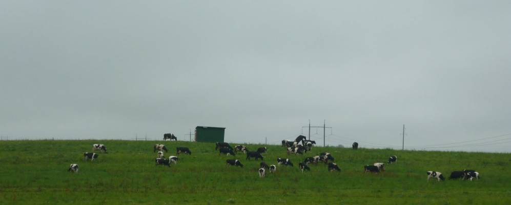 Фотография Прудца