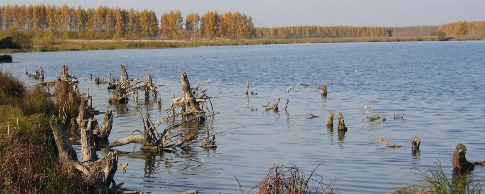 Фотография Арсеново