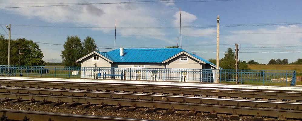 
            Фотография Большого Старово