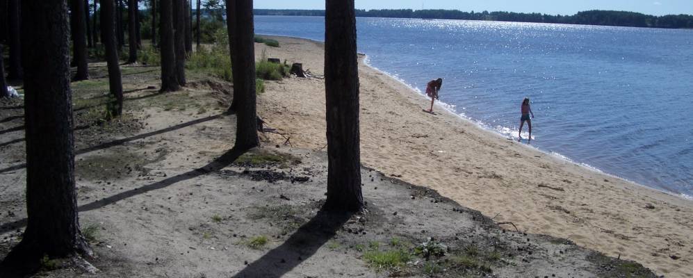 
            Фотография деревни Дегтярицы