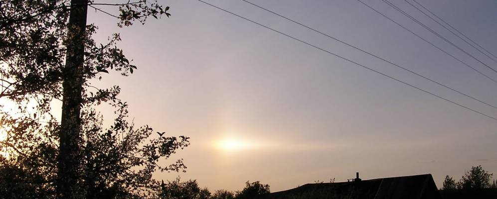 Фотография Дубово