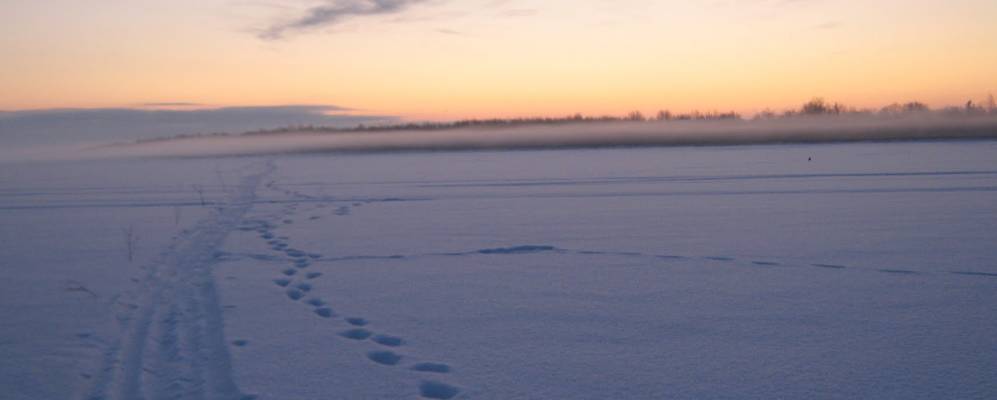 
            Фотография Дябрино