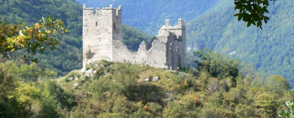 
            Фотография Норжа