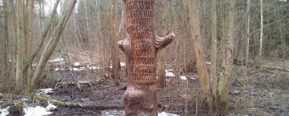 
            Фотография Выдерки