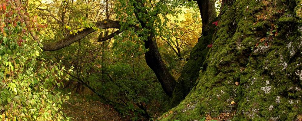 
            Фотография Штрамберка