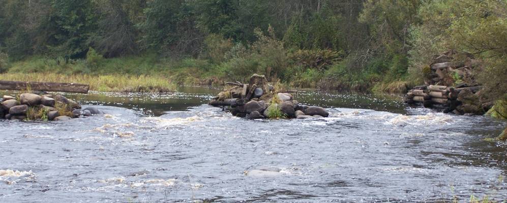 
            Фотография Серебрянки
