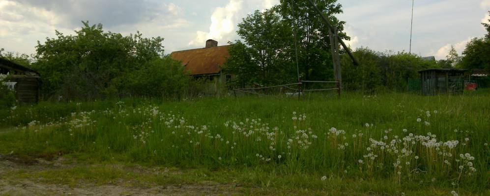 
            Фотография Кемска