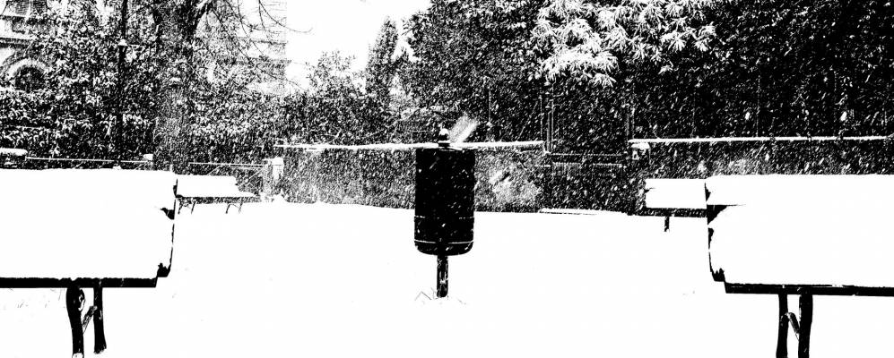 
            Фотография Поджибонси