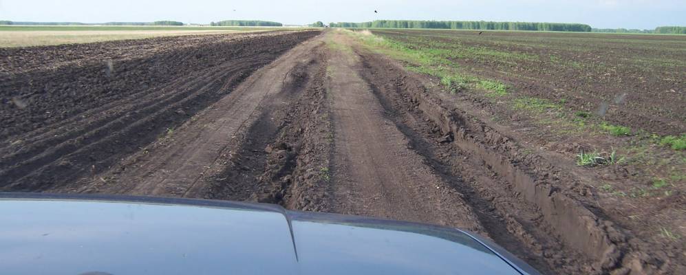 
            Фотография Дубровки