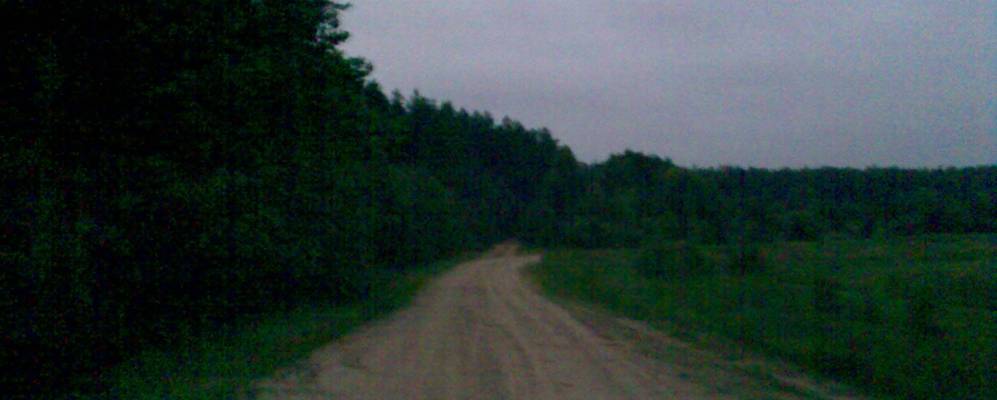 
            Фотография Гуты