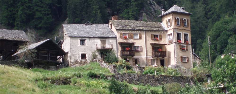 
            Фотография Фузио