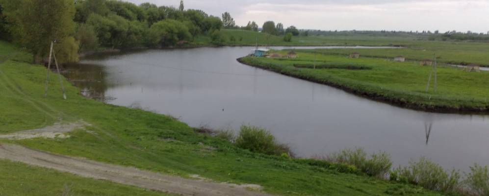 
            Фотография Новостава