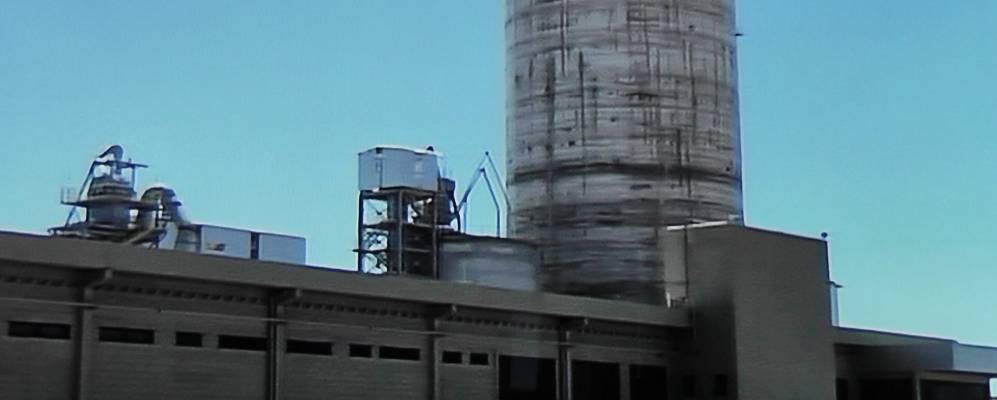 
            Фотография Барауны