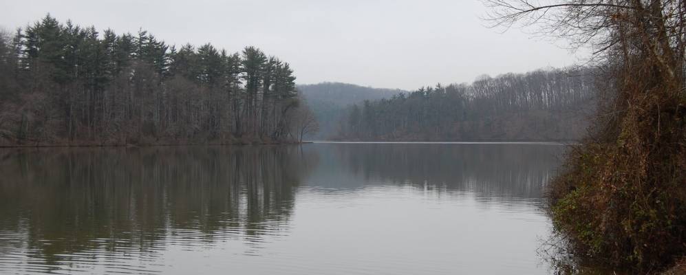 
            Фотография Спрай