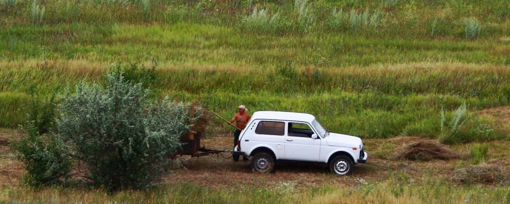 
            Фотография Октябрьского