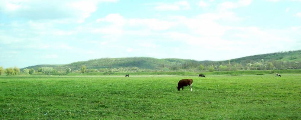 
            Фотография Ананьева Первого