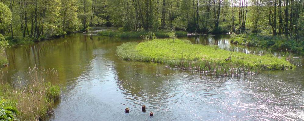 Фотография Гальчунов