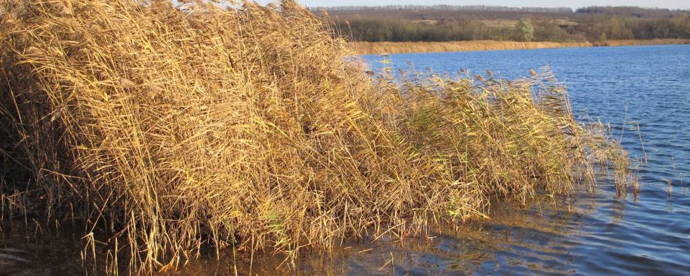 
            Фотография Калужино