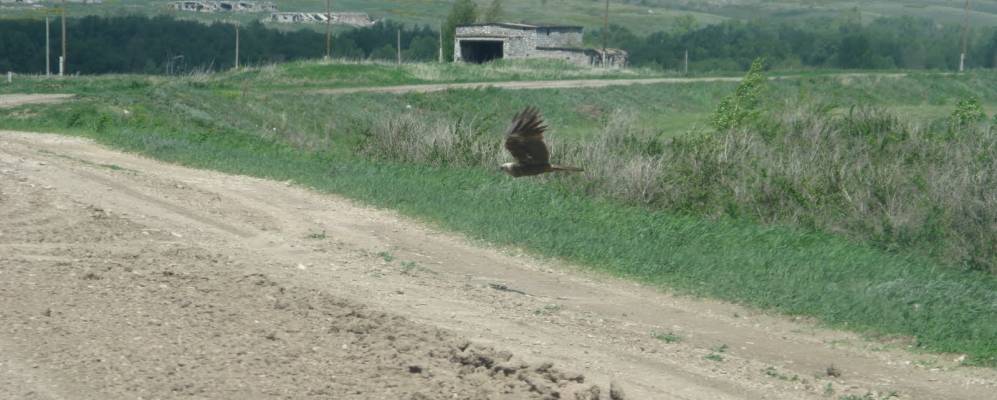 
            Фотография Григорьевки