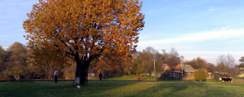 
            Фотография Старой Жадовой